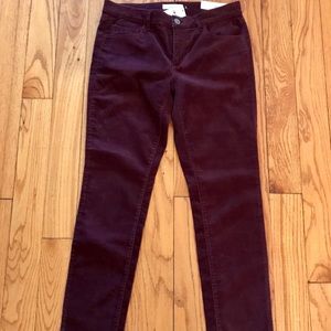 Ann Taylor Loft Modern Skinny corduroy pants